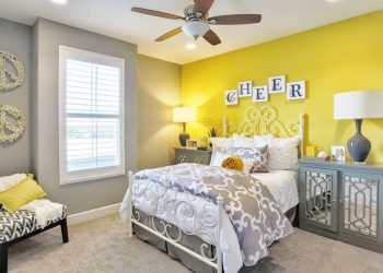 accent wall color with gray