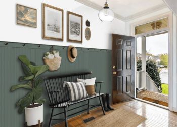 accent wall in entryway