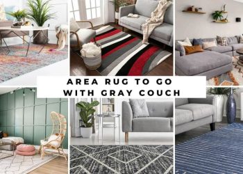 Area Rug To Go With Gray Couch
