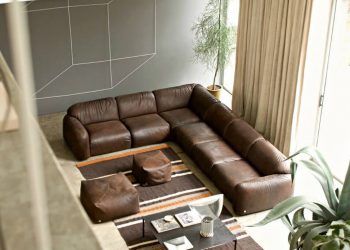 area rug with brown couch